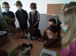 IMG_20210514_075647