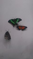 IMG_20210909_142500