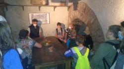 IMG_20210909_134323