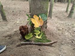 IMG_20221011_110549