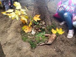 IMG_20221011_110917