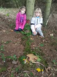 IMG_20221011_111410