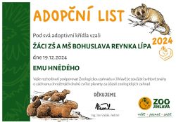 Emu_hnedy_adventni_sbirka_2024