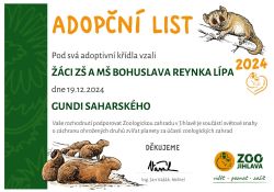 Gundi_saharsky_adventni_sbirka_2024