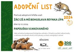 Papousek_vlnkovany_adventni_sbirka_2024