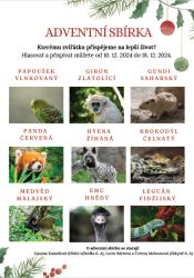 Plakat_adventni_sbirka_2024