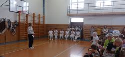 IMG_20241121_080623