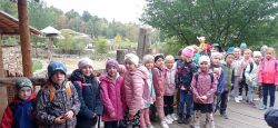 IMG_20241010_090647