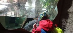IMG_20241010_094340