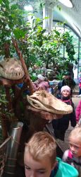 IMG_20241010_094606