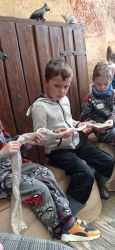 IMG_20241010_103350