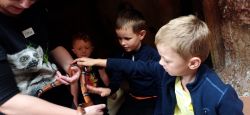 IMG_20241010_104238