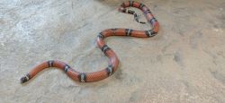 IMG_20241010_104505