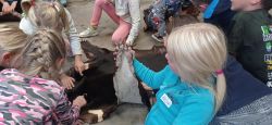 IMG_20241010_105550