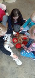 IMG_20241010_113003