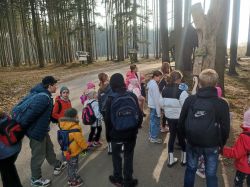 IMG_20241106_115005