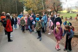 IMG_20241106_121442
