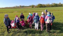 IMG_20240426_082502