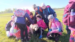 IMG_20240426_082517