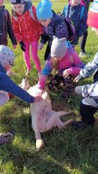 IMG_20240426_082624