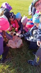IMG_20240426_082628