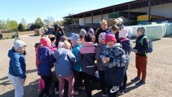 IMG_20240426_095346