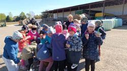 IMG_20240426_095348
