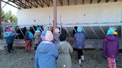 IMG_20240426_100353