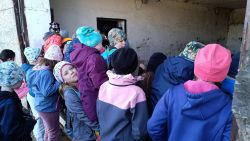 IMG_20240426_103502