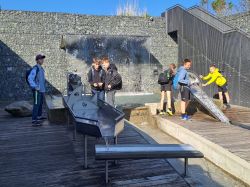 IMG-20240509-WA0036