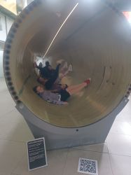 IMG_20240612_101747