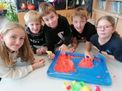 IMG_20241113_121230