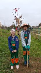 IMG_20241023_114917