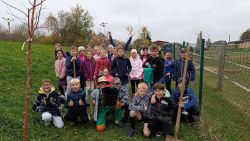 IMG_20241023_115117