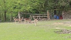 IMG_20240415_153526
