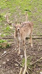 IMG_20240415_153633
