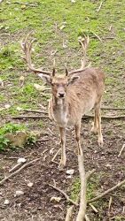 IMG_20240415_153635