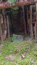 IMG_20240415_164240