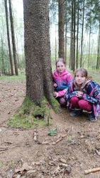 IMG_20240415_164304