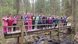 IMG_20240415_165304