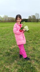 IMG_20240415_171548