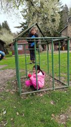 IMG_20240415_172500