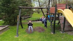 IMG_20240415_172516