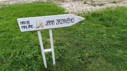 IMG_20240416_095318