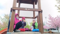 IMG_20240416_111327