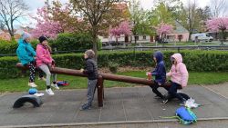 IMG_20240416_112004
