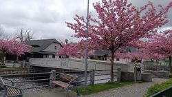 IMG_20240416_112020