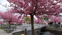 IMG_20240416_112344
