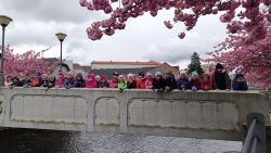 IMG_20240416_115948