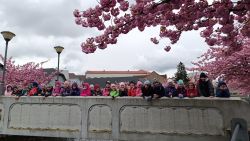 IMG_20240416_115951